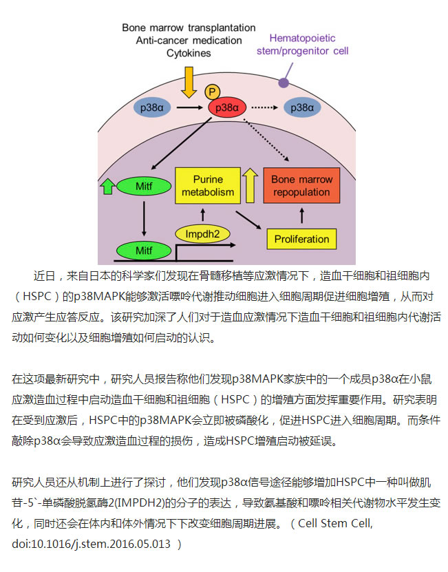 4059醉红颜论坛