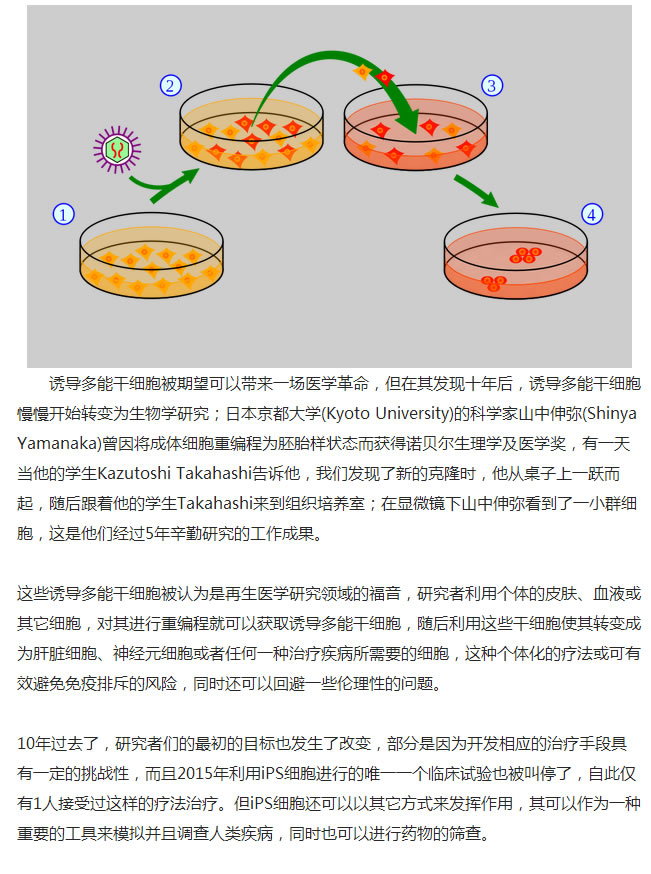 4059醉红颜论坛